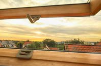 rated Inversanda roof window companies